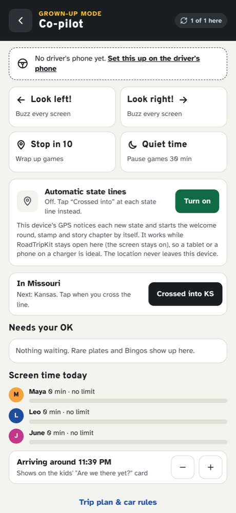 The grown-up Co-pilot screen: Look left, Look right, Stop in 10 and Quiet time buttons, automatic state lines, approvals and screen time.